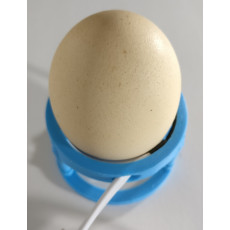 Вимірювач температури шкаралупи яйця ITS-1.